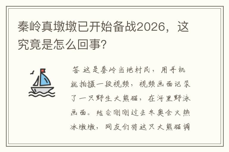 秦岭真墩墩已开始备战2026，这究竟是怎么回事？