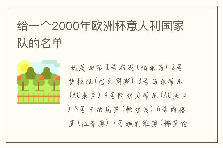 给一个2000年欧洲杯意大利国家队的名单