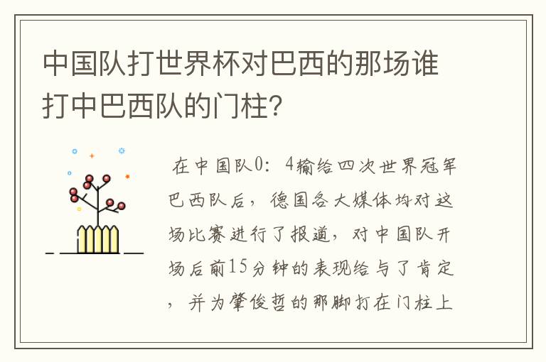 中国队打世界杯对巴西的那场谁打中巴西队的门柱？