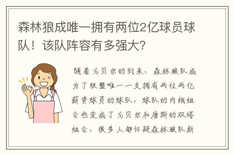 森林狼成唯一拥有两位2亿球员球队！该队阵容有多强大？