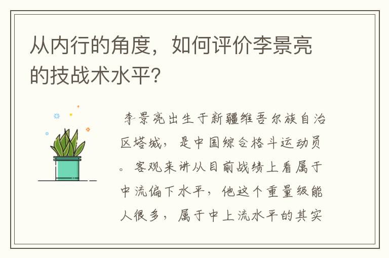 从内行的角度，如何评价李景亮的技战术水平？