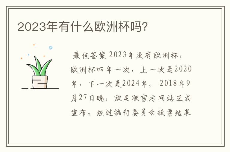 2023年有什么欧洲杯吗？