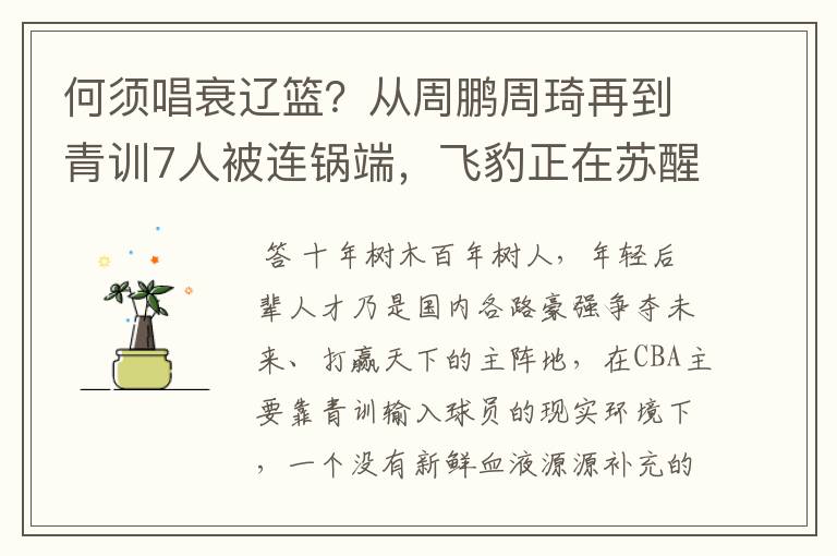 何须唱衰辽篮？从周鹏周琦再到青训7人被连锅端，飞豹正在苏醒