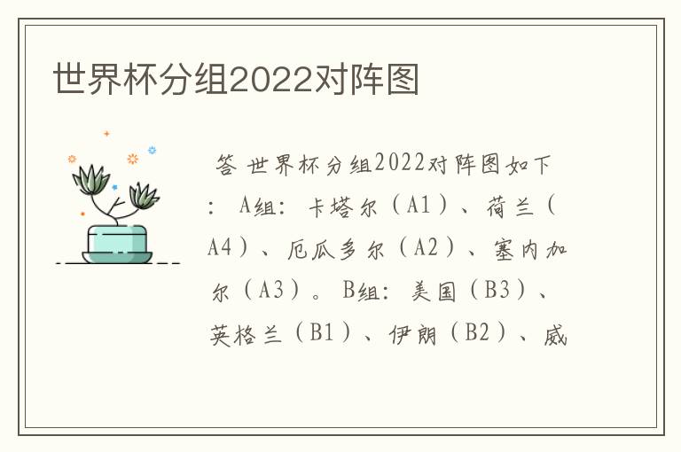 世界杯分组2022对阵图