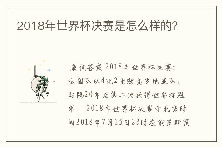 2018年世界杯决赛是怎么样的？