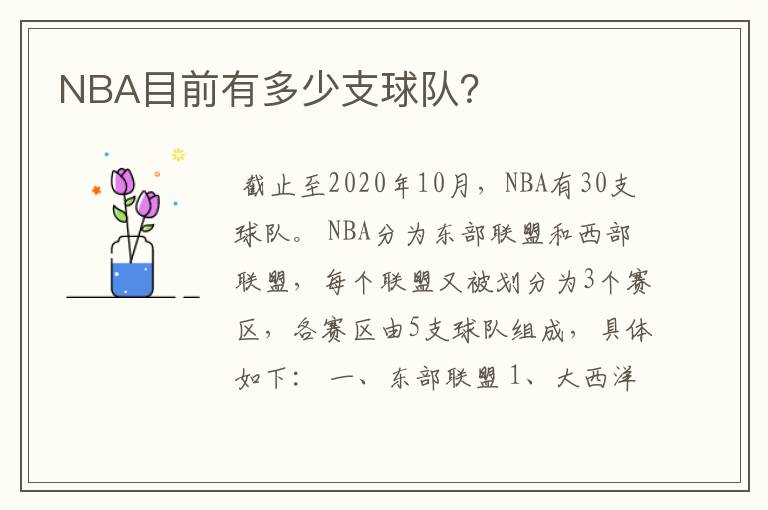 NBA目前有多少支球队？