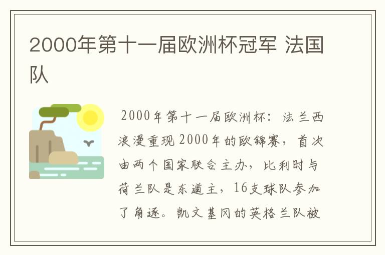 2000年第十一届欧洲杯冠军 法国队