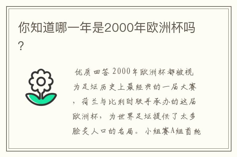 你知道哪一年是2000年欧洲杯吗？