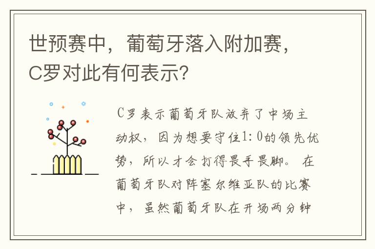 世预赛中，葡萄牙落入附加赛，C罗对此有何表示？