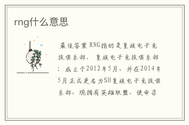 rng什么意思