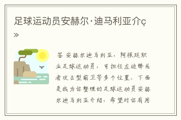 足球运动员安赫尔·迪马利亚介绍