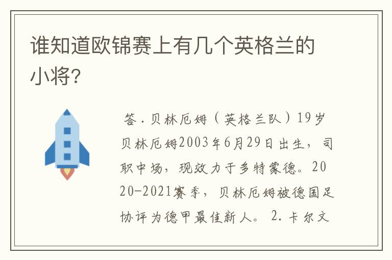 谁知道欧锦赛上有几个英格兰的小将?