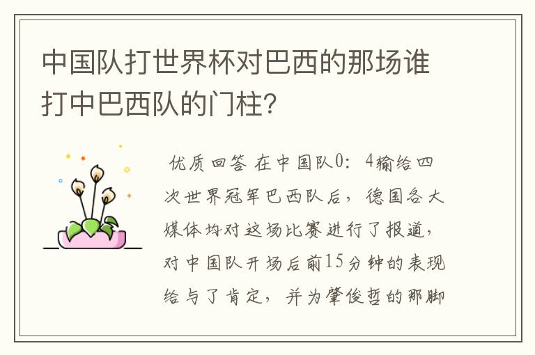 中国队打世界杯对巴西的那场谁打中巴西队的门柱？