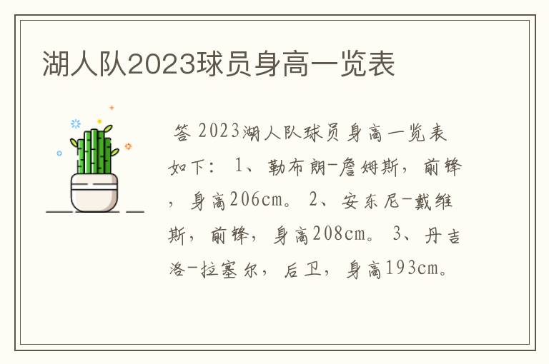 湖人队2023球员身高一览表