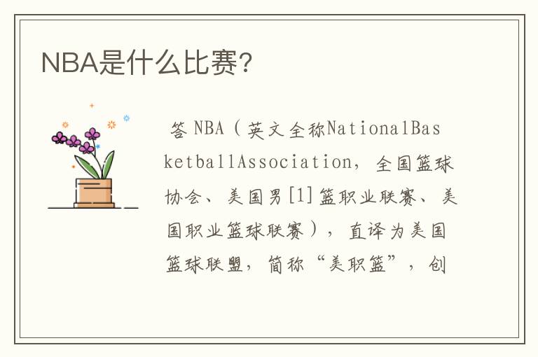 NBA是什么比赛?