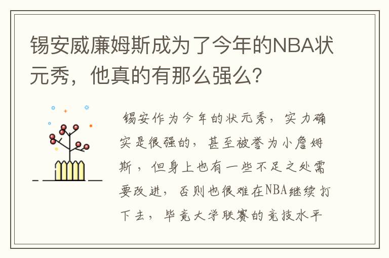 锡安威廉姆斯成为了今年的NBA状元秀，他真的有那么强么？