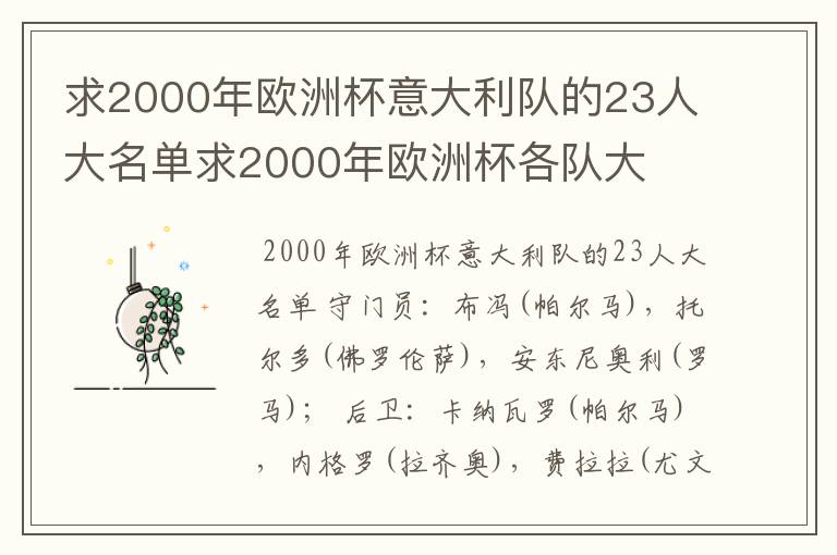 求2000年欧洲杯意大利队的23人大名单求2000年欧洲杯各队大