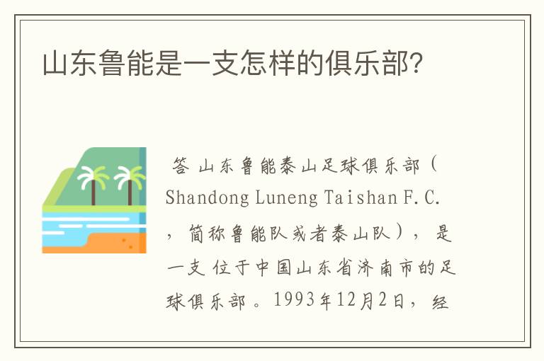 山东鲁能是一支怎样的俱乐部？