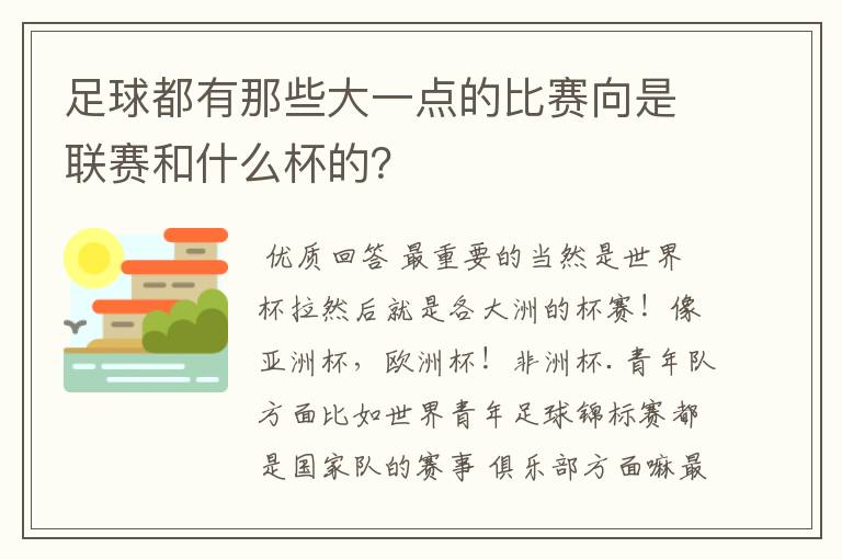 足球都有那些大一点的比赛向是联赛和什么杯的？