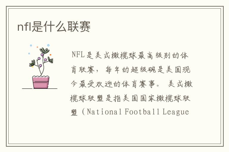 nfl是什么联赛