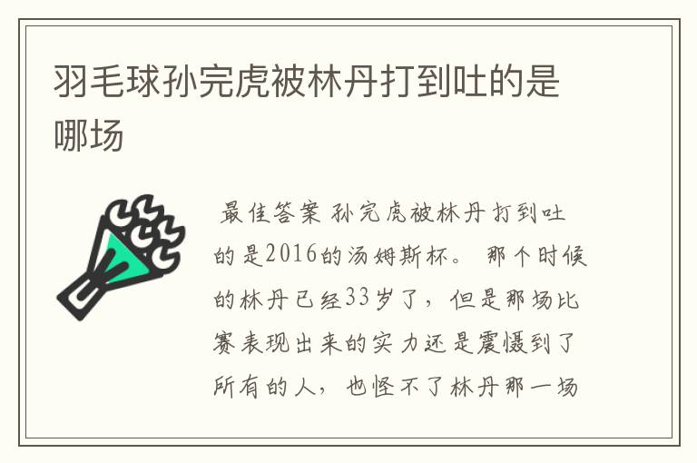 羽毛球孙完虎被林丹打到吐的是哪场