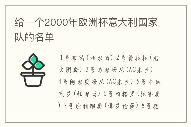 给一个2000年欧洲杯意大利国家队的名单