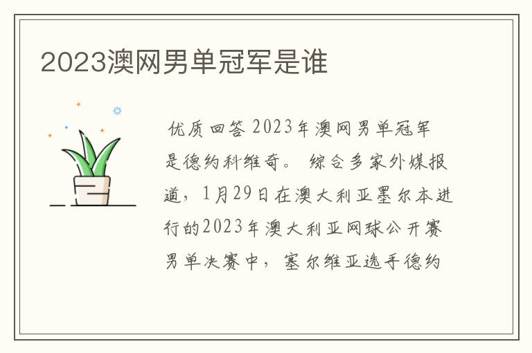 2023澳网男单冠军是谁