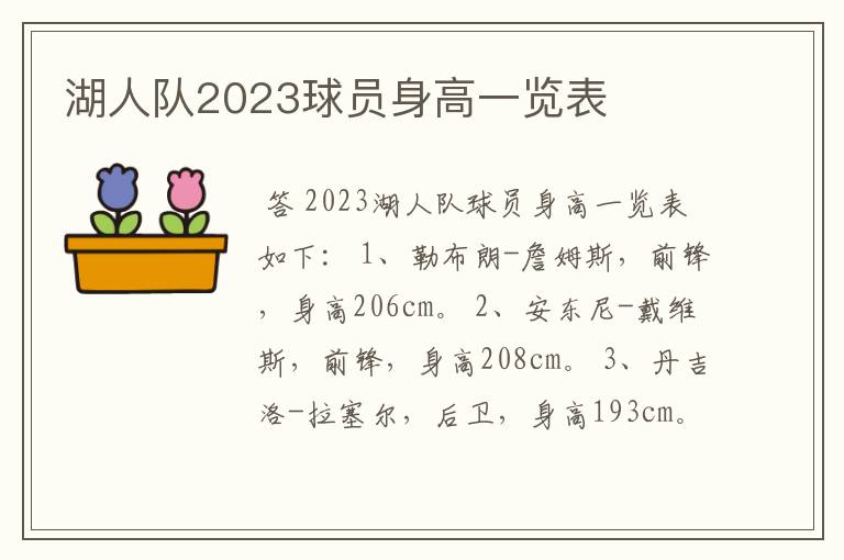 湖人队2023球员身高一览表