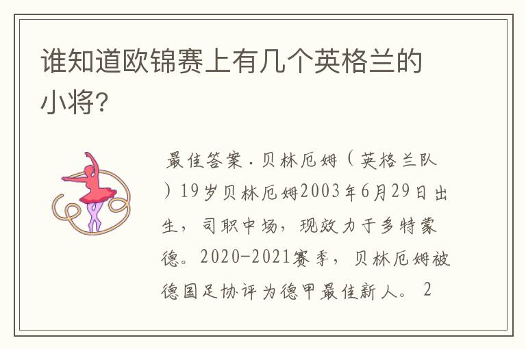 谁知道欧锦赛上有几个英格兰的小将?