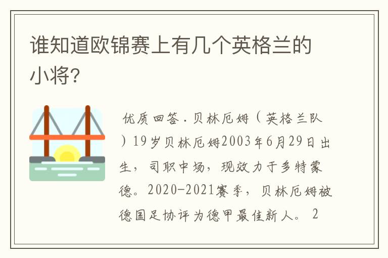 谁知道欧锦赛上有几个英格兰的小将?