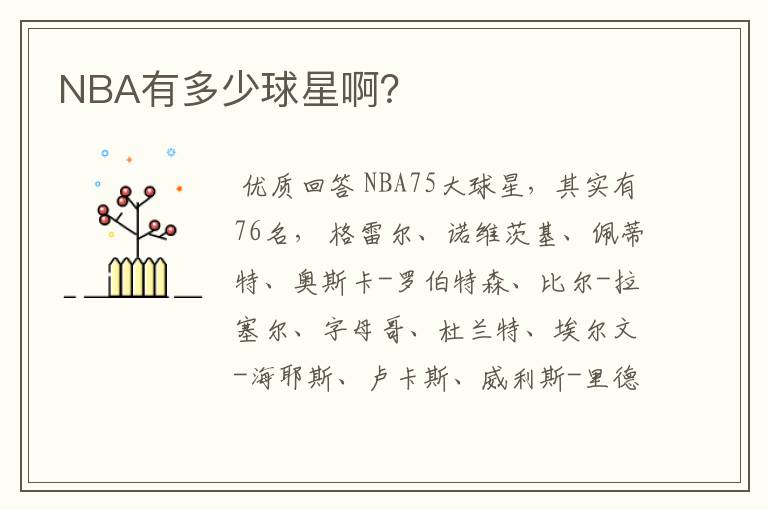 NBA有多少球星啊？