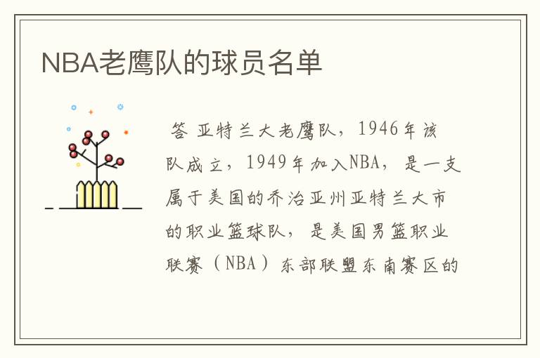 NBA老鹰队的球员名单