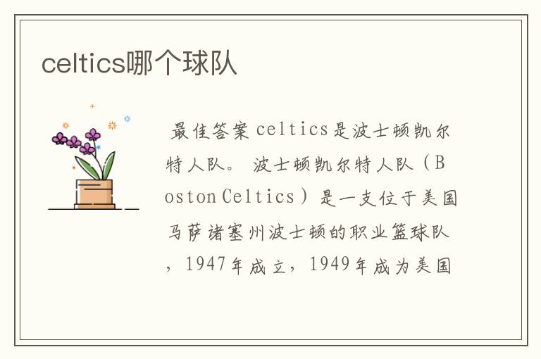 celtics哪个球队