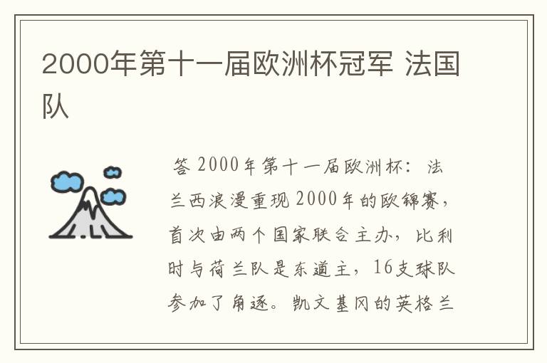 2000年第十一届欧洲杯冠军 法国队