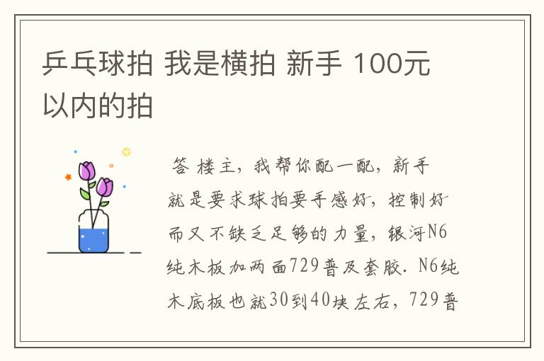 乒乓球拍 我是横拍 新手 100元以内的拍