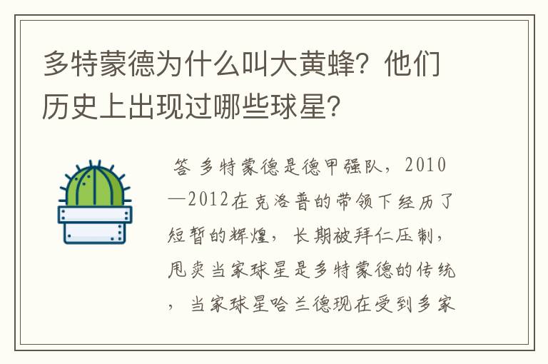 多特蒙德为什么叫大黄蜂？他们历史上出现过哪些球星？