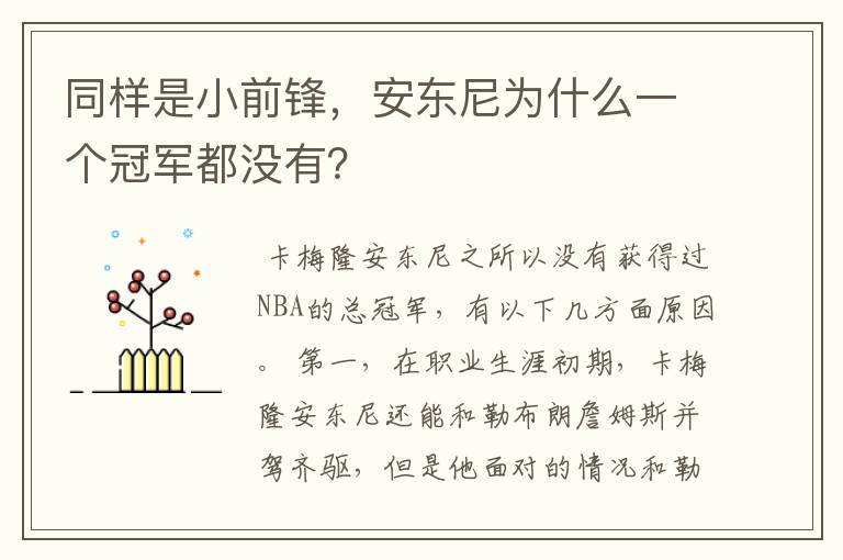 同样是小前锋，安东尼为什么一个冠军都没有？