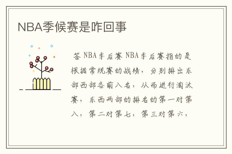 NBA季候赛是咋回事