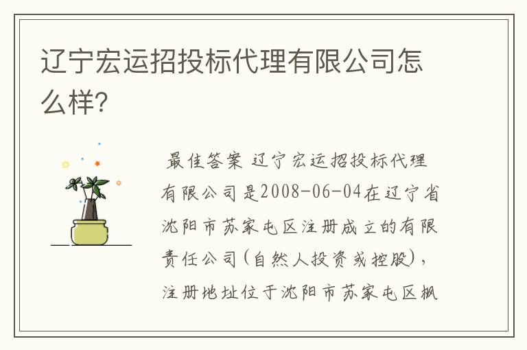 辽宁宏运招投标代理有限公司怎么样？