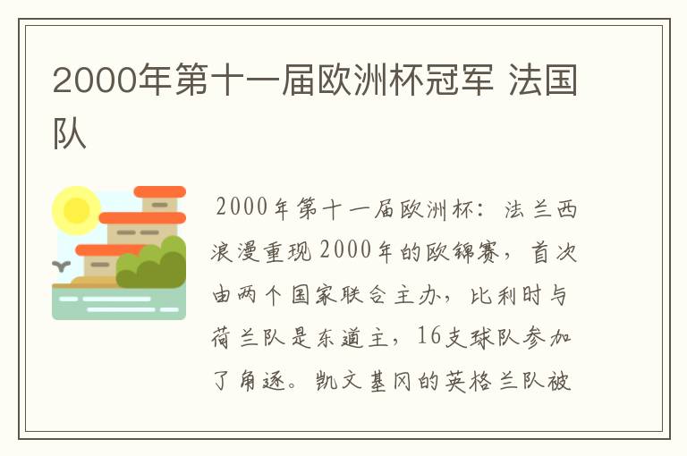 2000年第十一届欧洲杯冠军 法国队