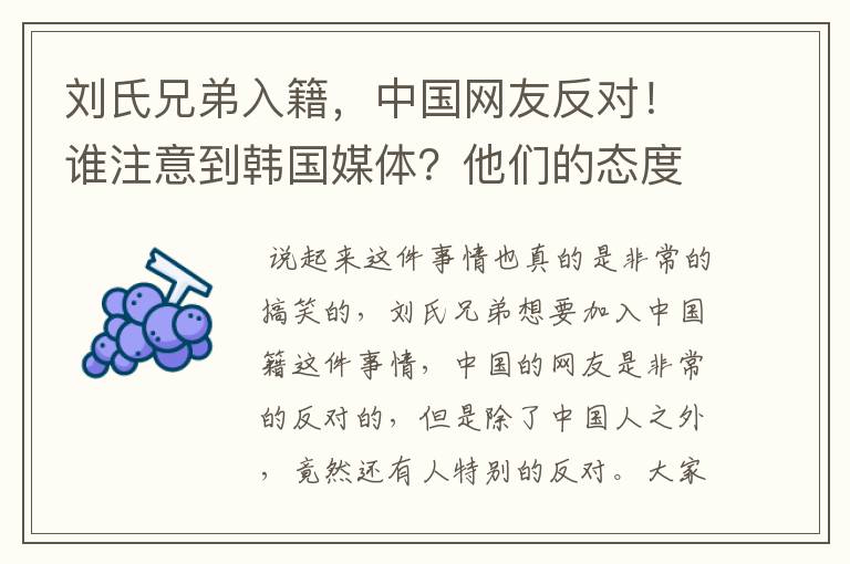 刘氏兄弟入籍，中国网友反对！谁注意到韩国媒体？他们的态度如何？