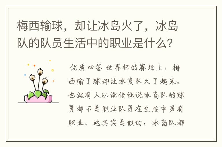 梅西输球，却让冰岛火了，冰岛队的队员生活中的职业是什么？