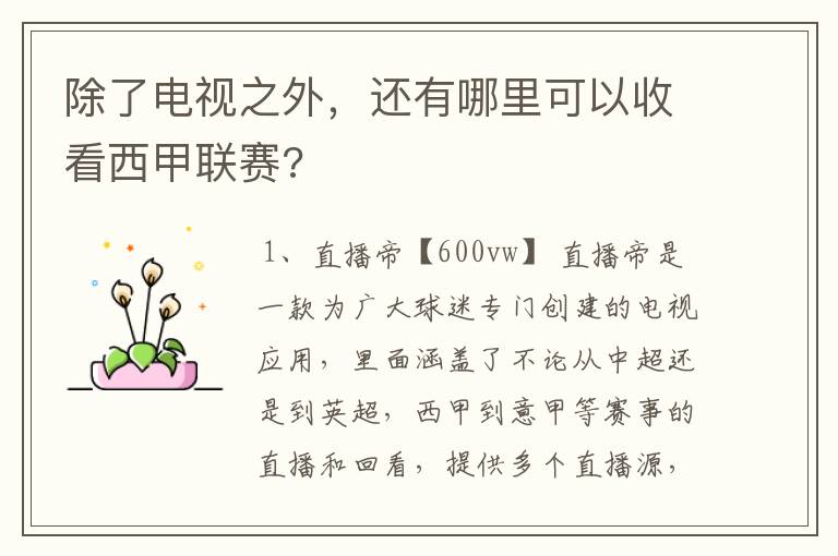 除了电视之外，还有哪里可以收看西甲联赛?