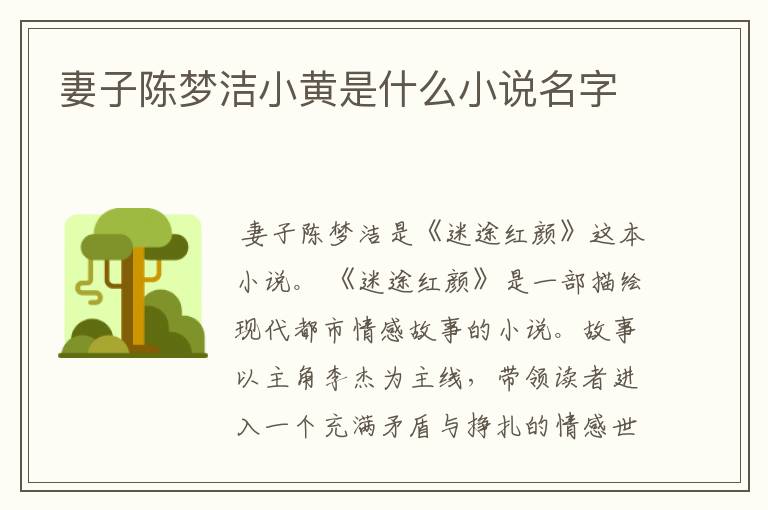 妻子陈梦洁小黄是什么小说名字