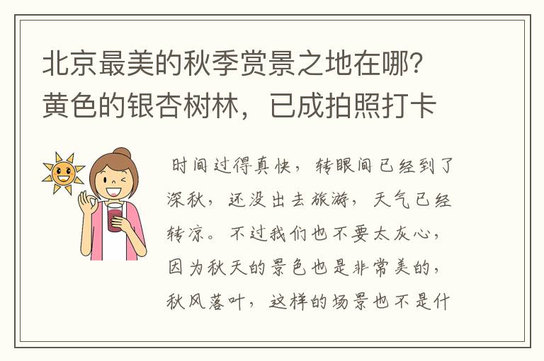 北京最美的秋季赏景之地在哪？黄色的银杏树林，已成拍照打卡地？