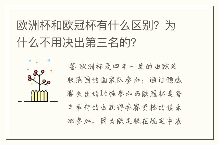 欧洲杯和欧冠杯有什么区别？为什么不用决出第三名的？