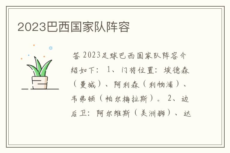 2023巴西国家队阵容