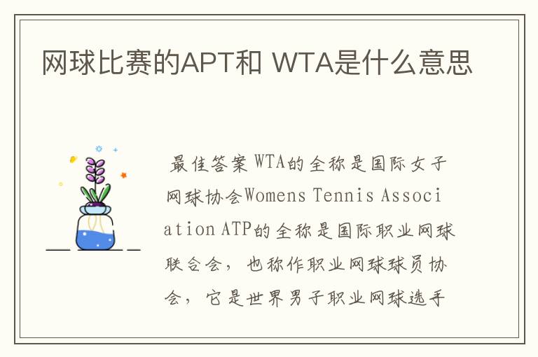 网球比赛的APT和 WTA是什么意思