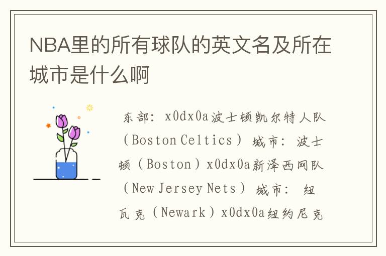 NBA里的所有球队的英文名及所在城市是什么啊