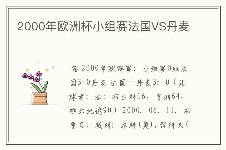 2000年欧洲杯小组赛法国VS丹麦